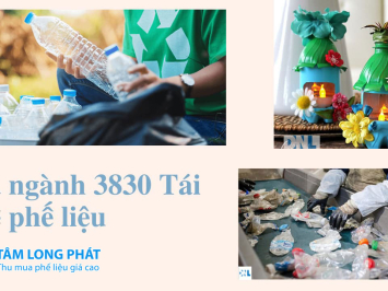 Mã ngành 3830 là gì? Tái chế phế liệu thì đăng ký mã ngành nào?