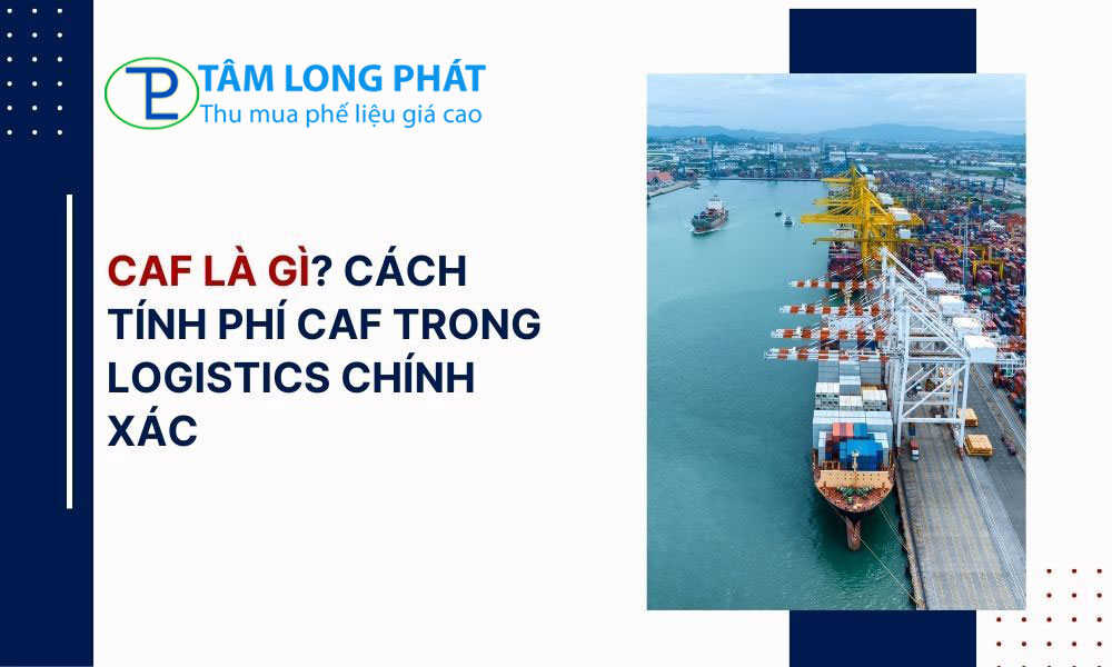https://thumuaphelieutamlongphat.com/faf-la-phi-gi.html